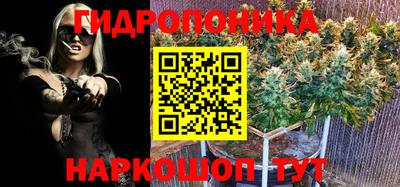мдпв Пугачёв